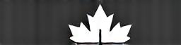 MapleStride Athletics monochrome logo